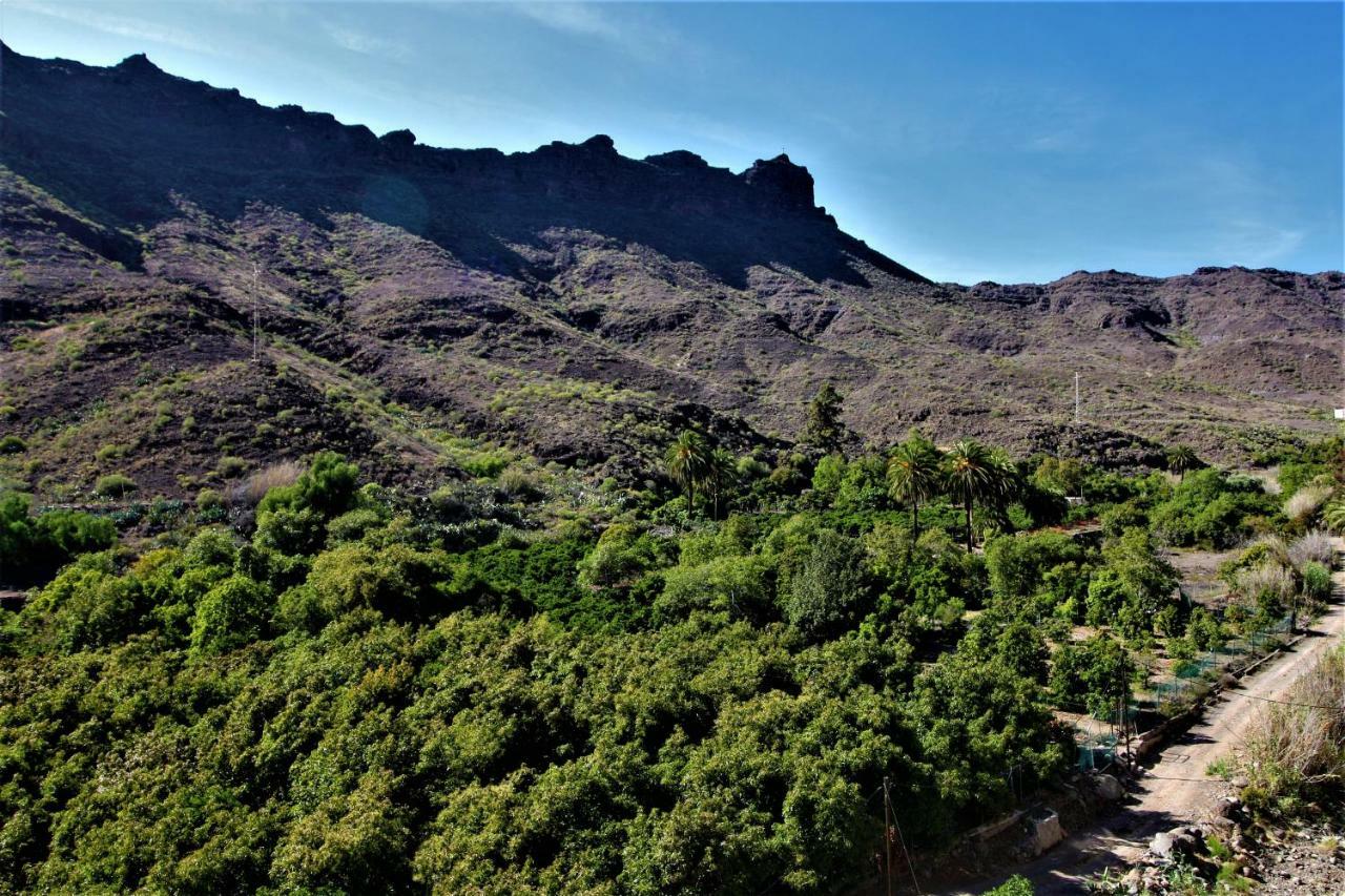 Open Sky Valley Mogán Extérieur photo